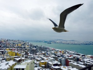 Views from Galata Tower in Istanbul - Places to Visit in Istanbul in Winter | https://passportandplates.com