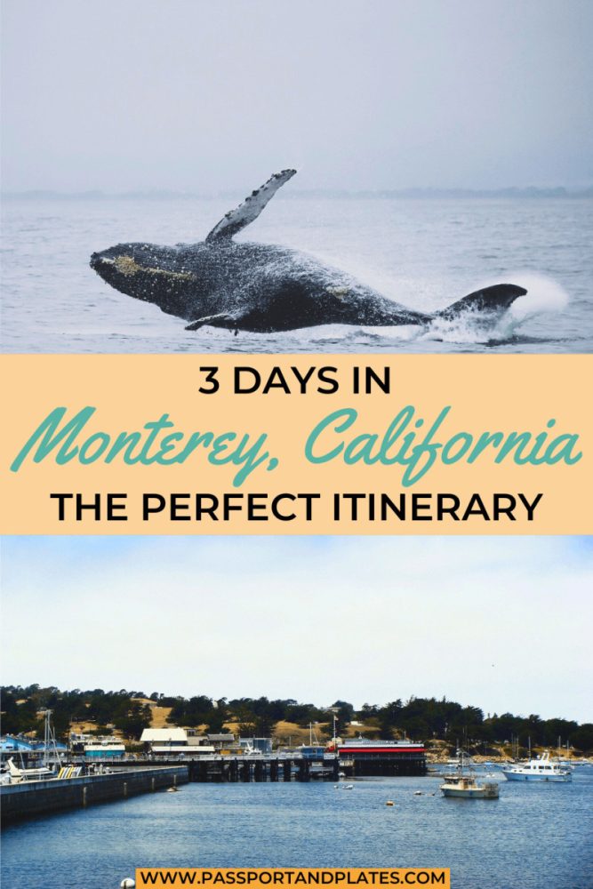 Planning to spend a long weekend in Monterey? Check out this perfect 3-day Monterey itinerary for all the best things to do in Monterey, California!