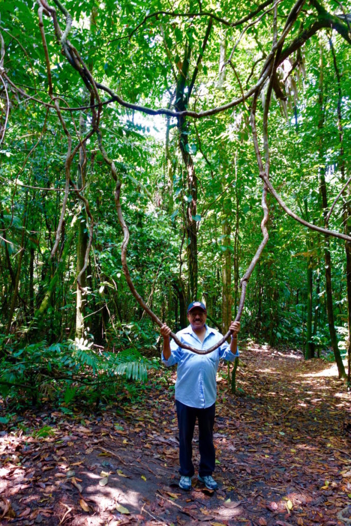 Passport & Plates