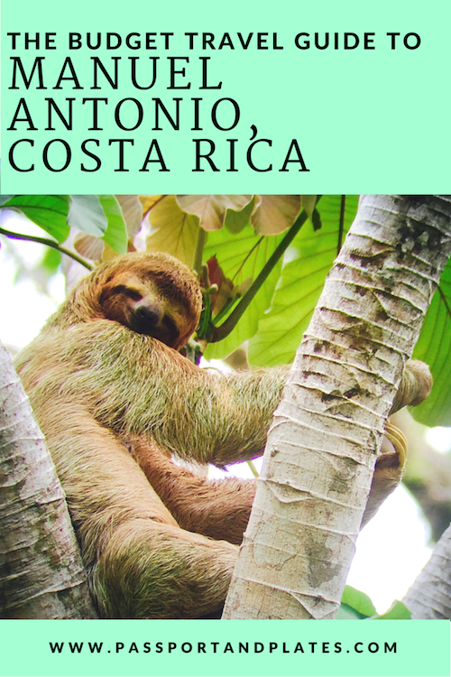 Planning a trip to Manuel Antonio? Check out all the amazing things to do in Manuel Antonio Costa Rica in this comprehensive list including money-saving tips and off-the-beaten path activities! Click to read. #CostaRica #ManuelAntonio #CostaRicaTravel #CentralAmerica