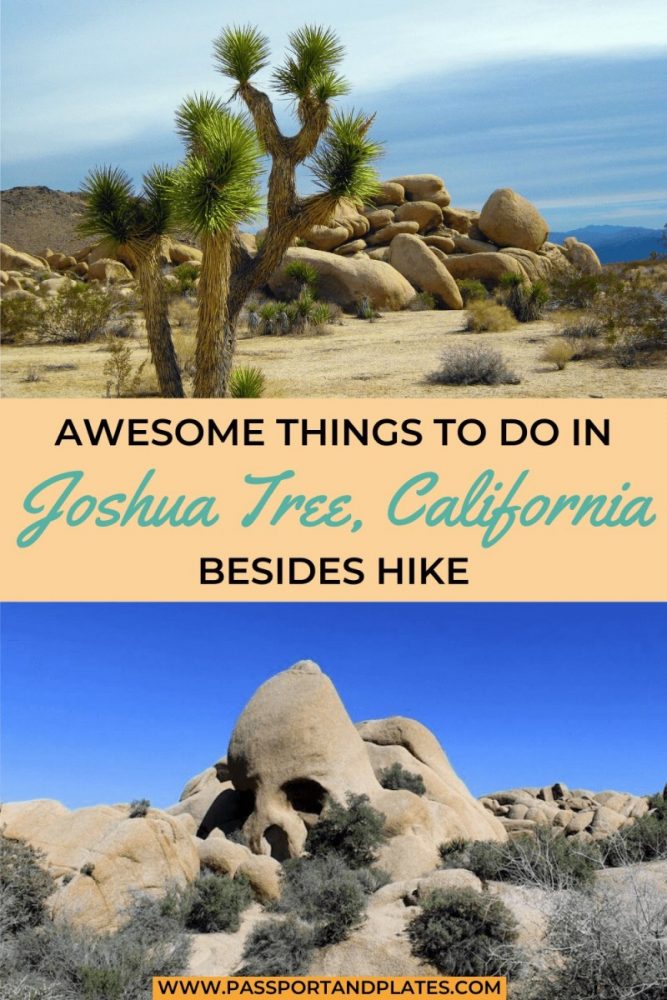 Heading to Joshua Tree National Park but don't want to hike the whole time? I've got you! These are the best things to do in Joshua Tree besides hike. | things to do in joshua tree national park | what to do in joshua tree | joshua tree town | best time to visit joshua tree | joshua tree must see