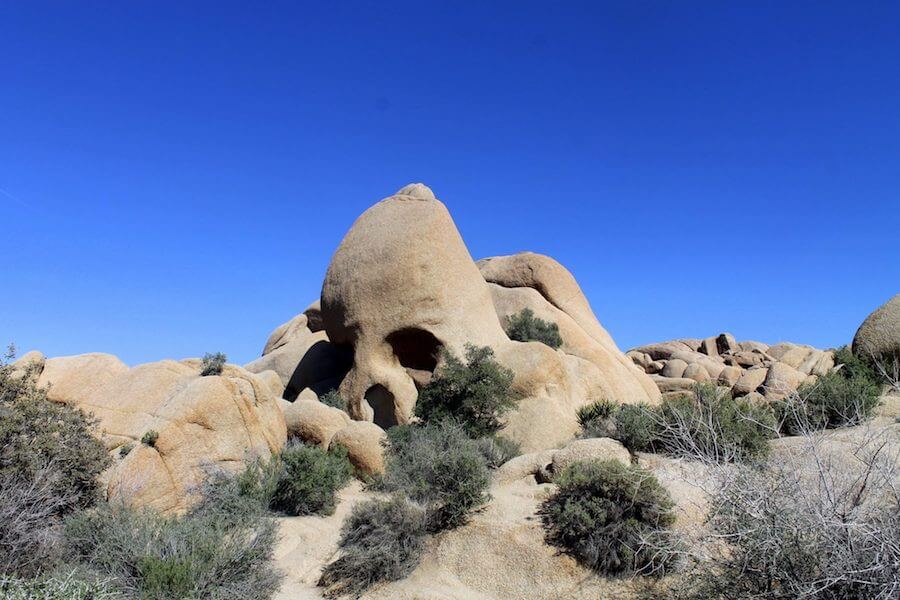 Heading to Joshua Tree National Park but don't want to hike the whole time? I've got you! These are the best things to do in Joshua Tree besides hike.