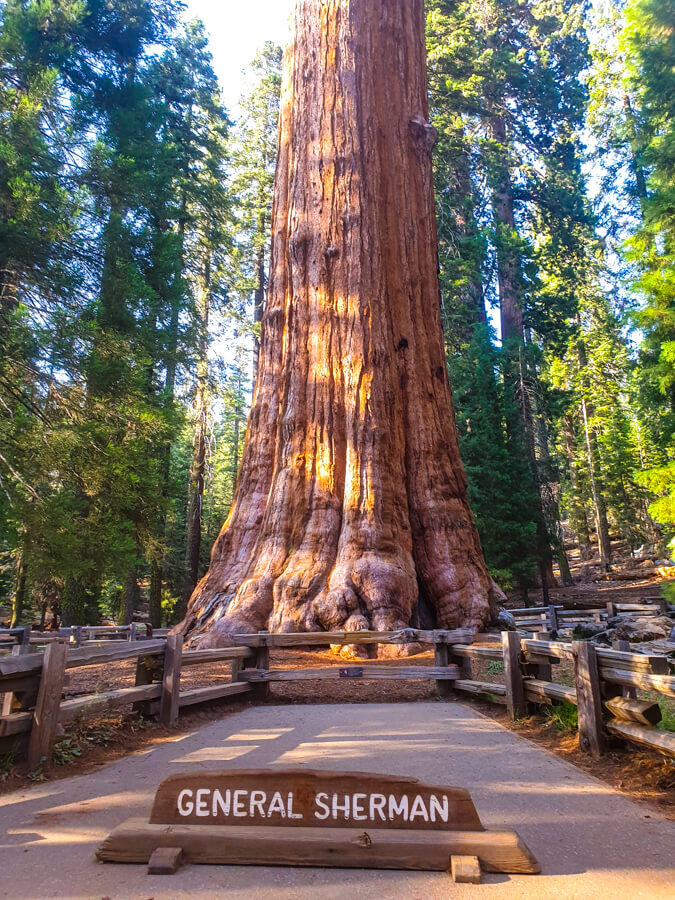 2 Days in Sequoia National Park Itinerary