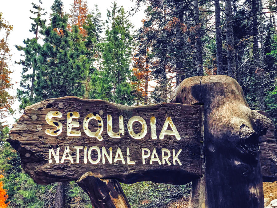 Weekend in Sequoia National Park https://unsplash.com/photos/KRfXj36ug-E