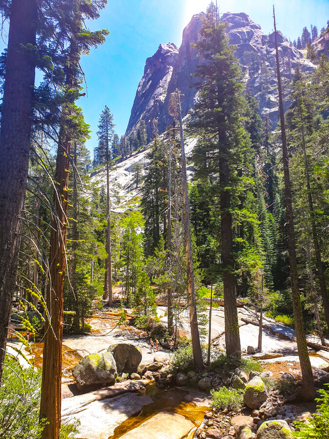 Weekend in Sequoia National Park