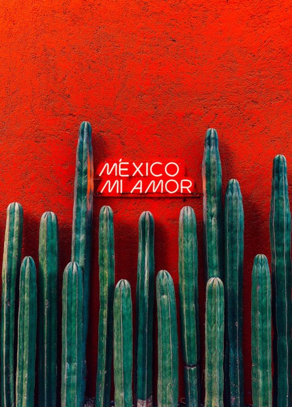 Looking for the perfect 3 days in Mexico City itinerary? I've got you! Click to read the best things to do in Mexico City and start planning your trip! | 3 days in CDMX Itinerary
