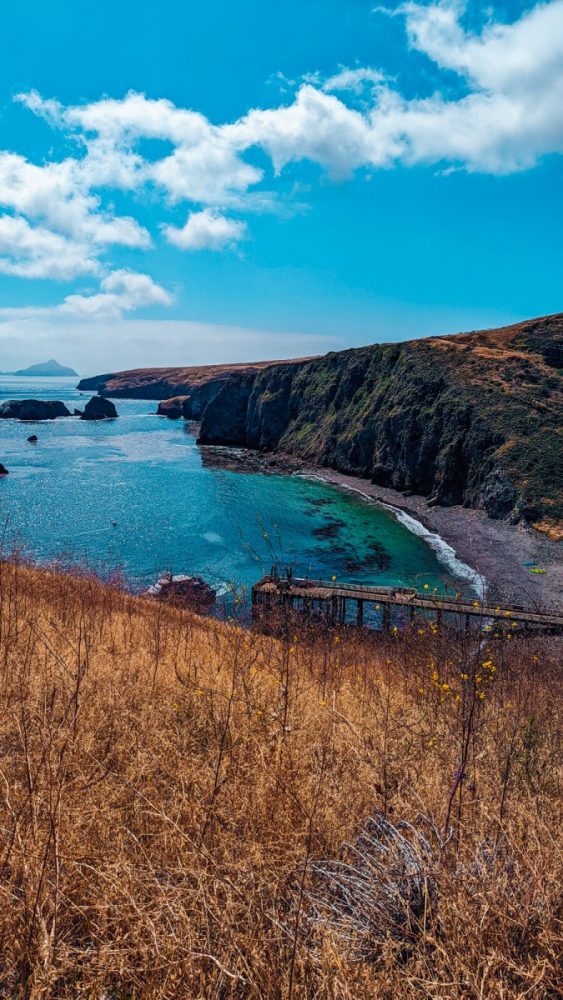 Planning a day trip to Channel Islands National Park? I got you! This is the perfect one day Channel Islands Itinerary. 
